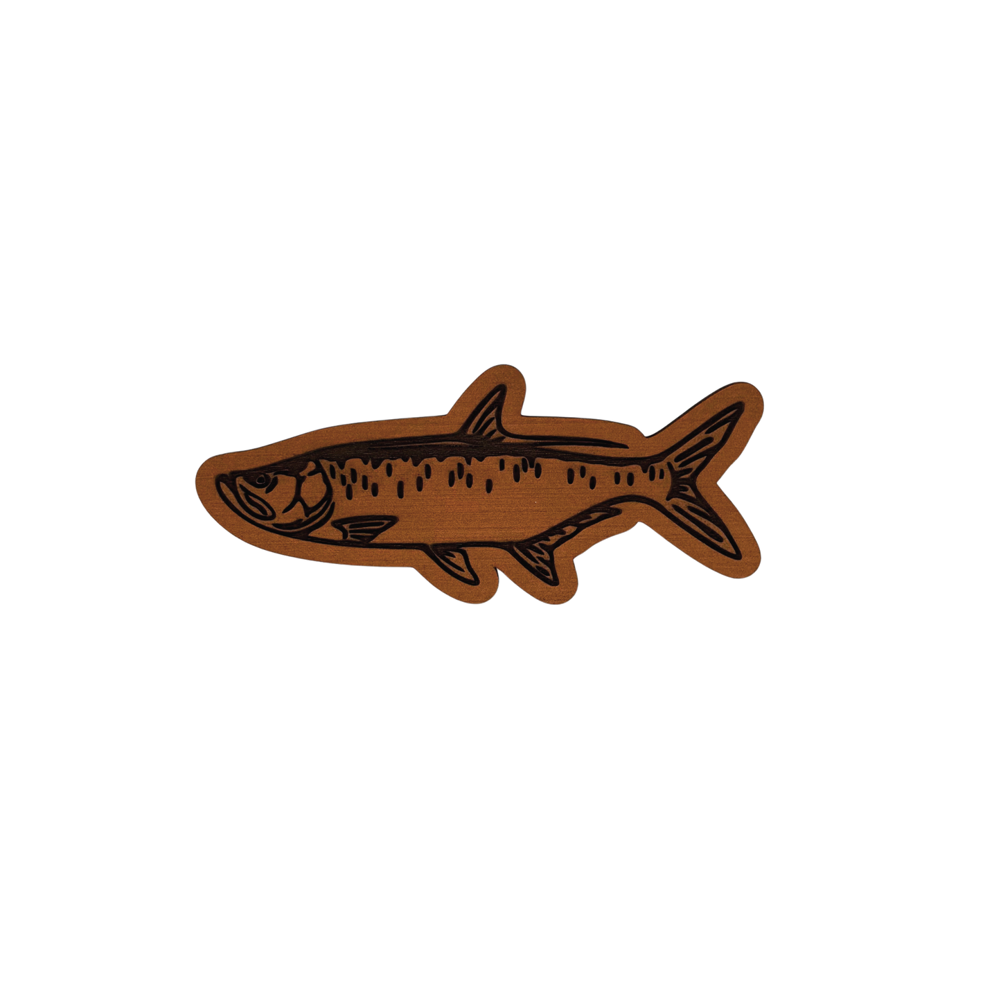 Tarpon Hook Pad